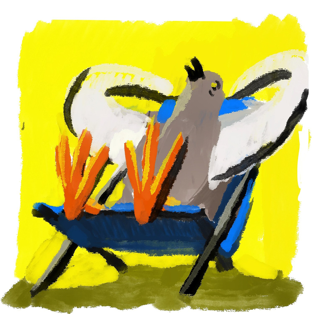Paul-Pajot-Colours-66