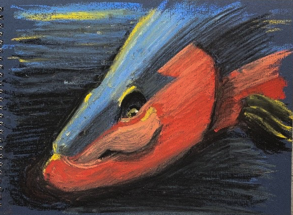 Paul-Pajot-Colours-72