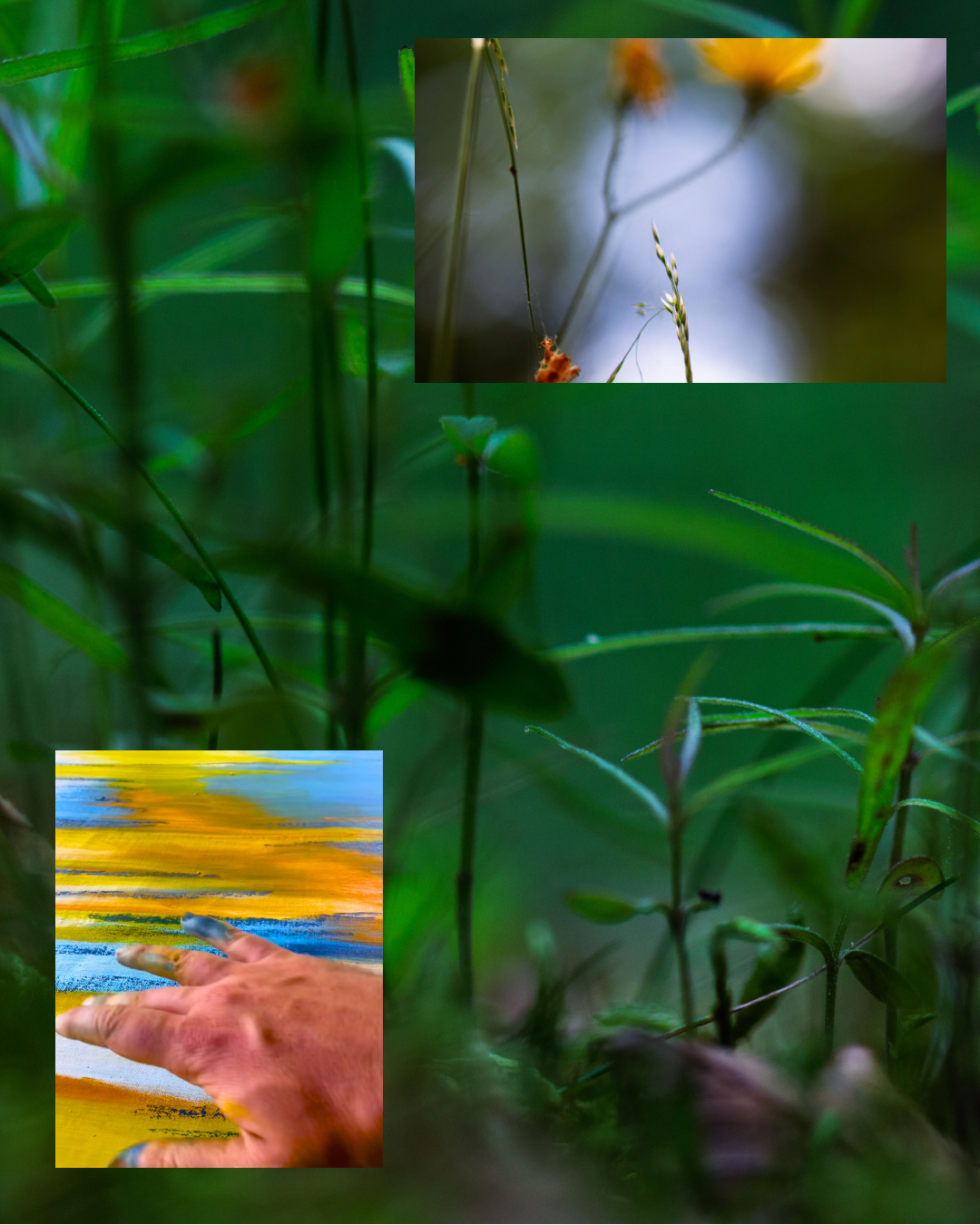 Instagram post – Auvergne – 13