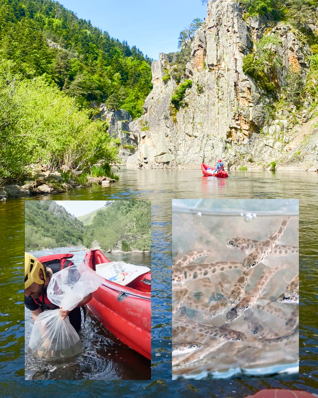 Instagram post – Auvergne – 9