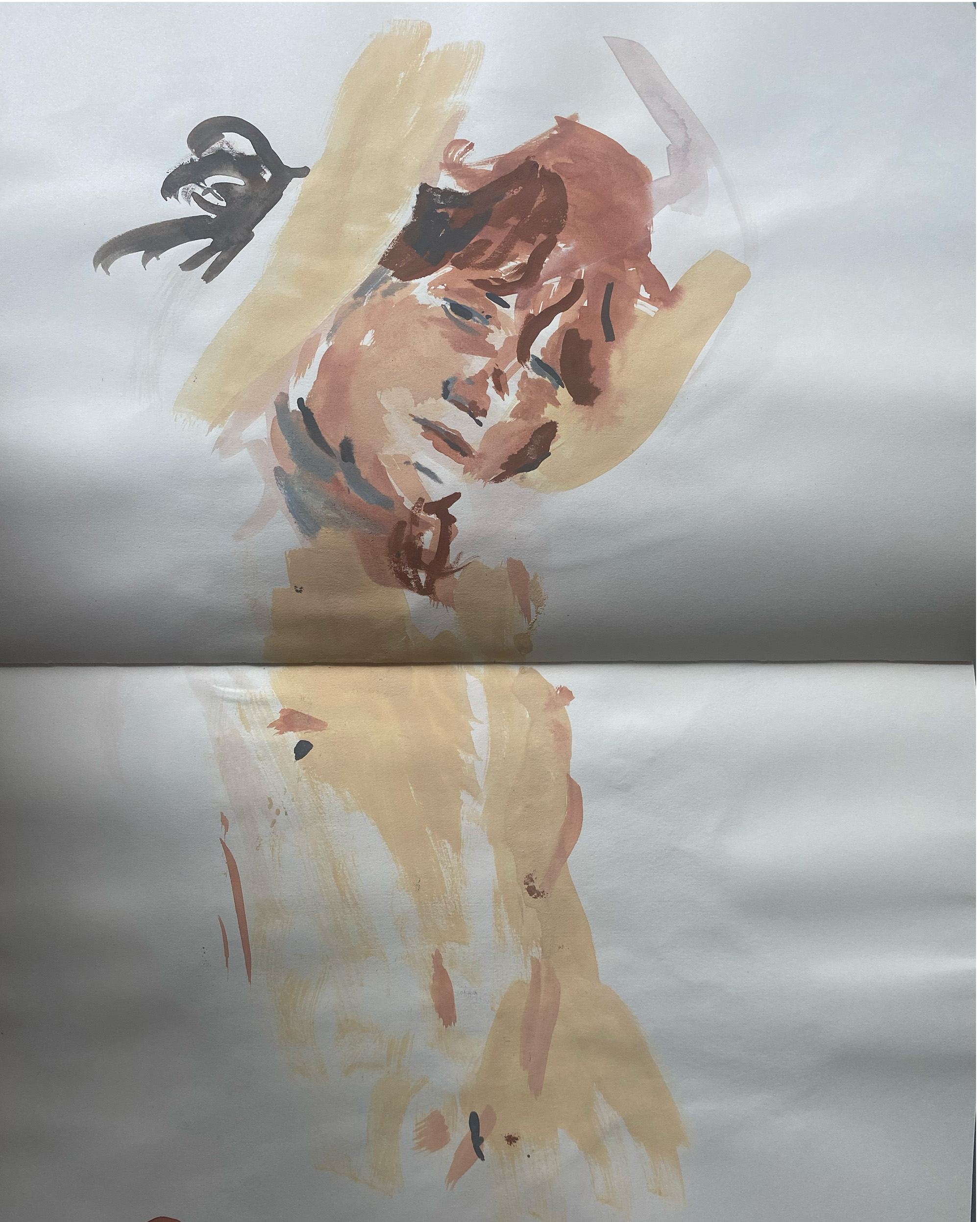 Mars Observations – 12