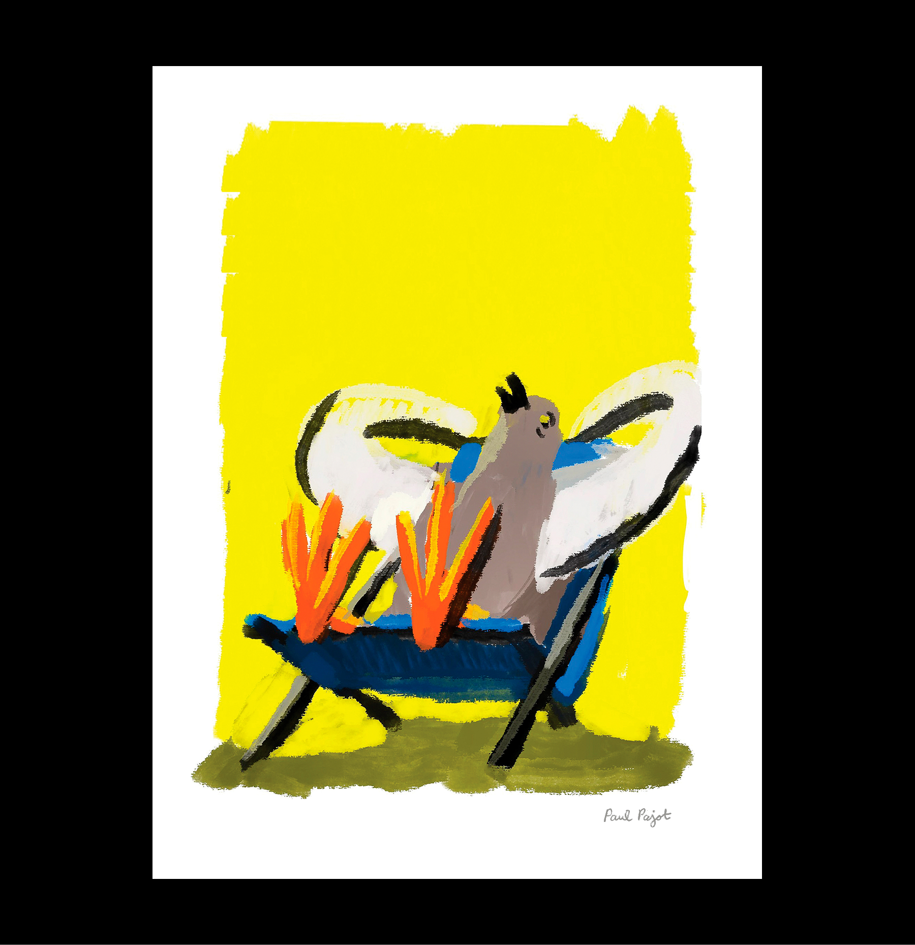 Pigeon-chill – web